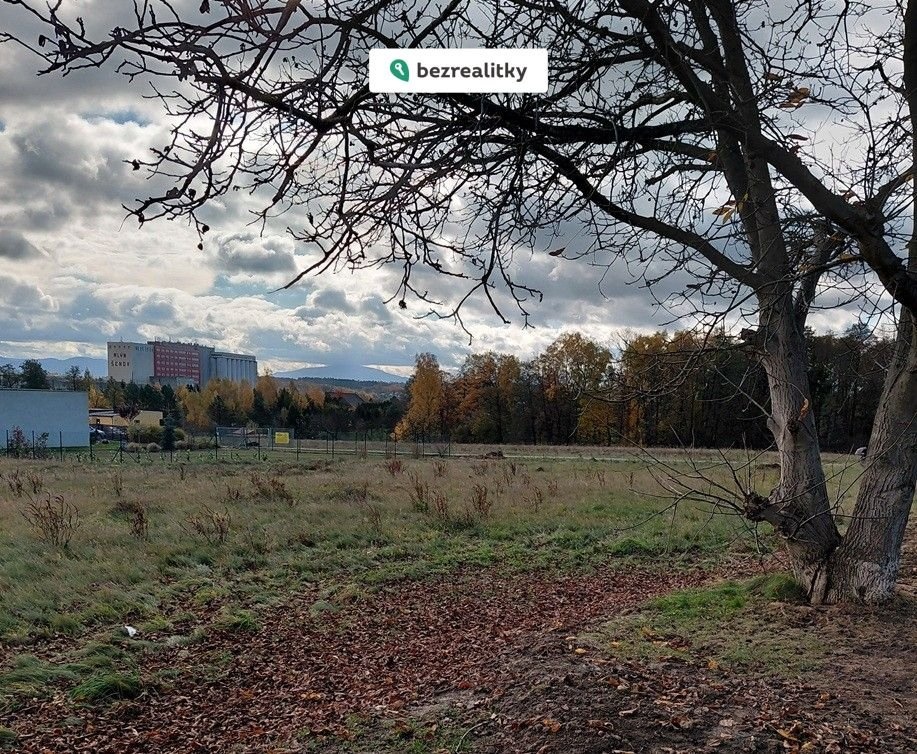 1761823934-zsgaiamisa-foto2