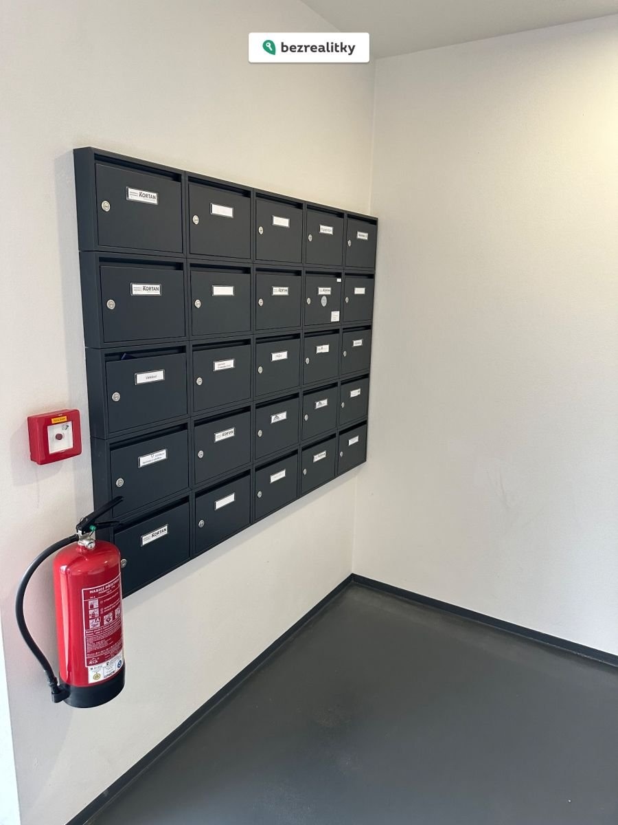 1767641144-paslwmwnwg-img-8691