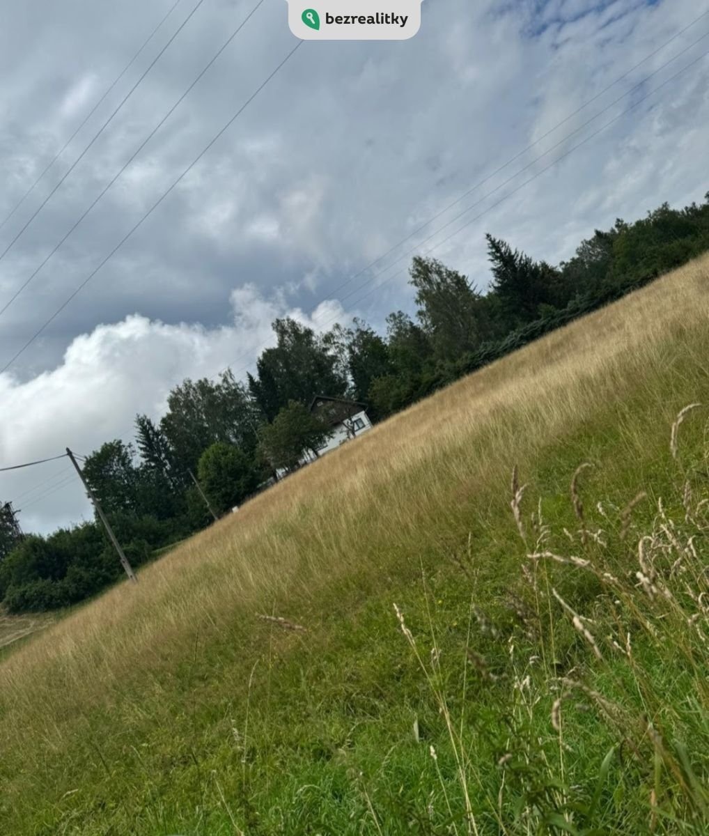 1735817205-ohsxlojlvz-screenshot-20250102-122330-w