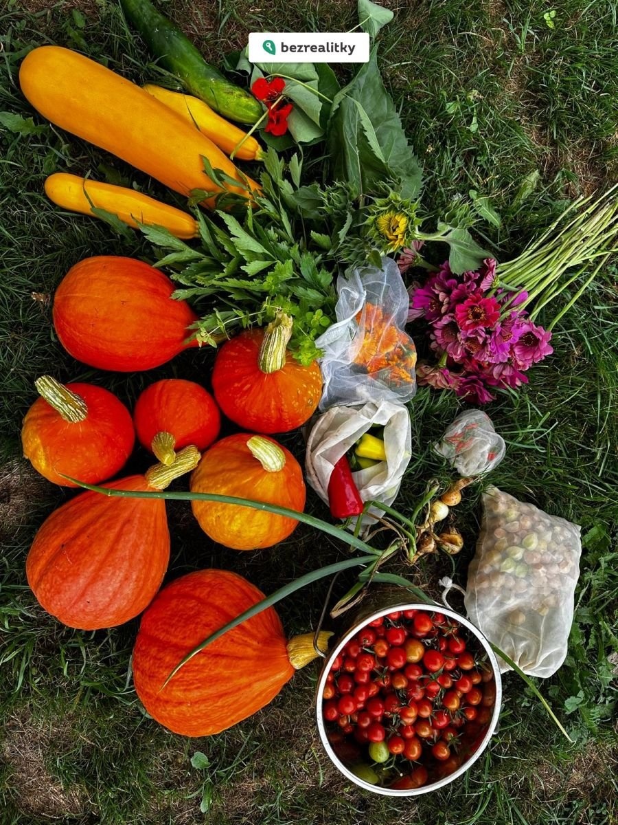 1773766060-rwqlytkrbm-photo-2025-09-25-12-23-24-10