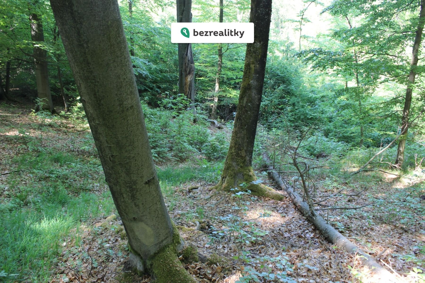 1764545291-vwggewlyeg-img-6476