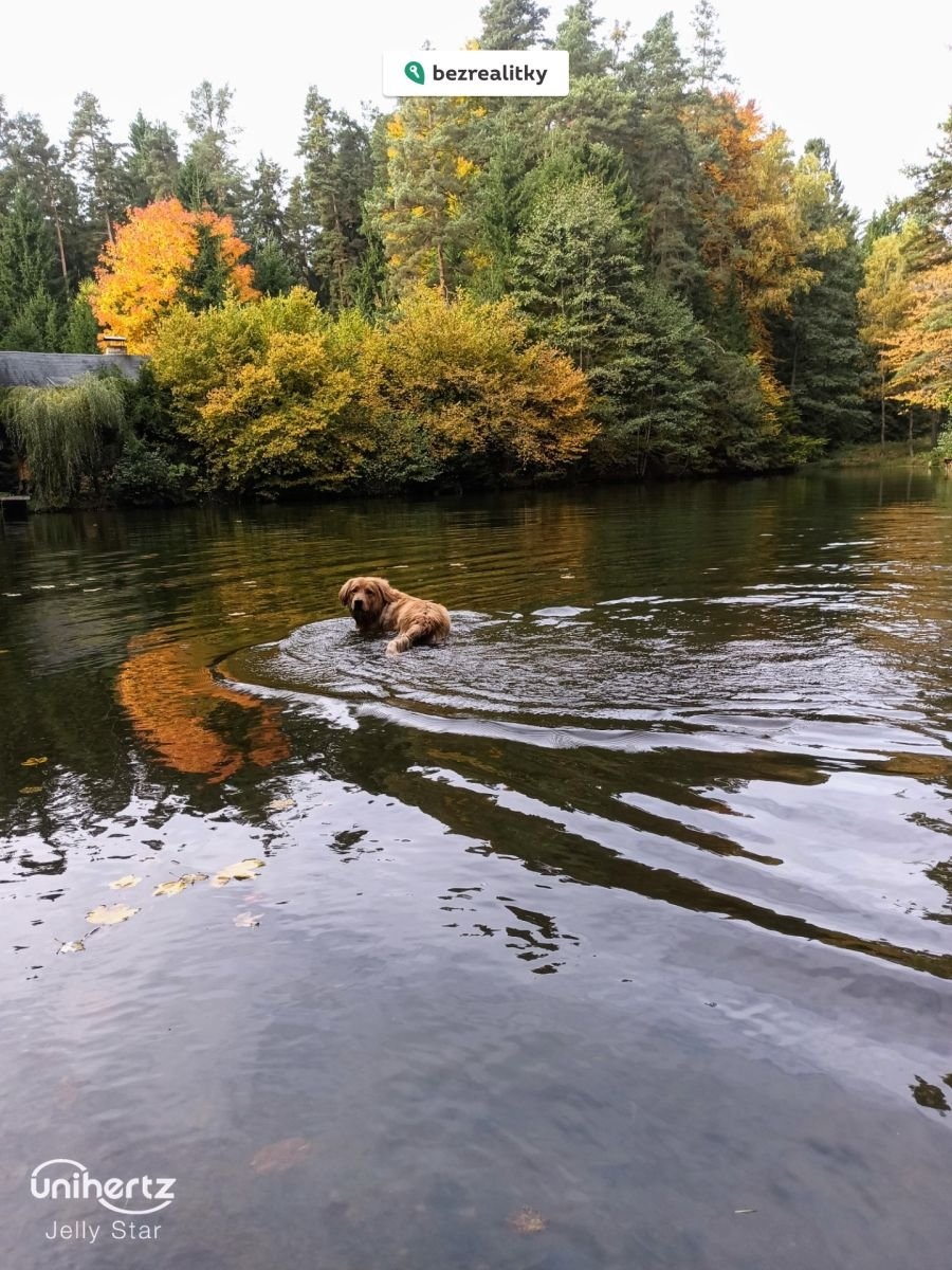 1769958614-ooqfialymj-img-20251016-111139-088