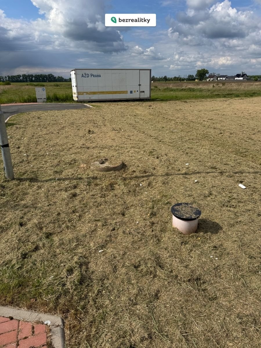 1779000686-tfrnplrspl-img-0177