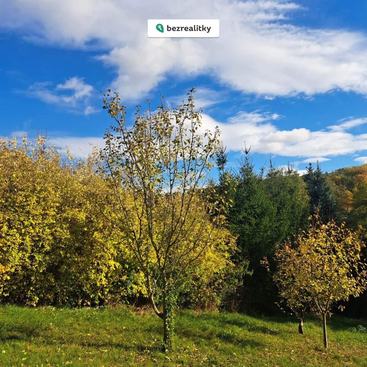 1764519883-qipwmgwoyv-1000017388