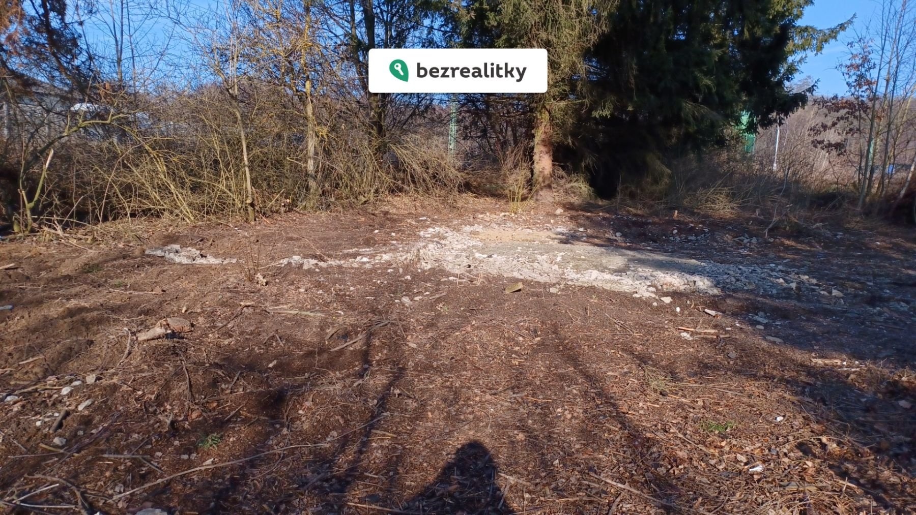 1769878615-qfvgfbofyc-20250203-122313