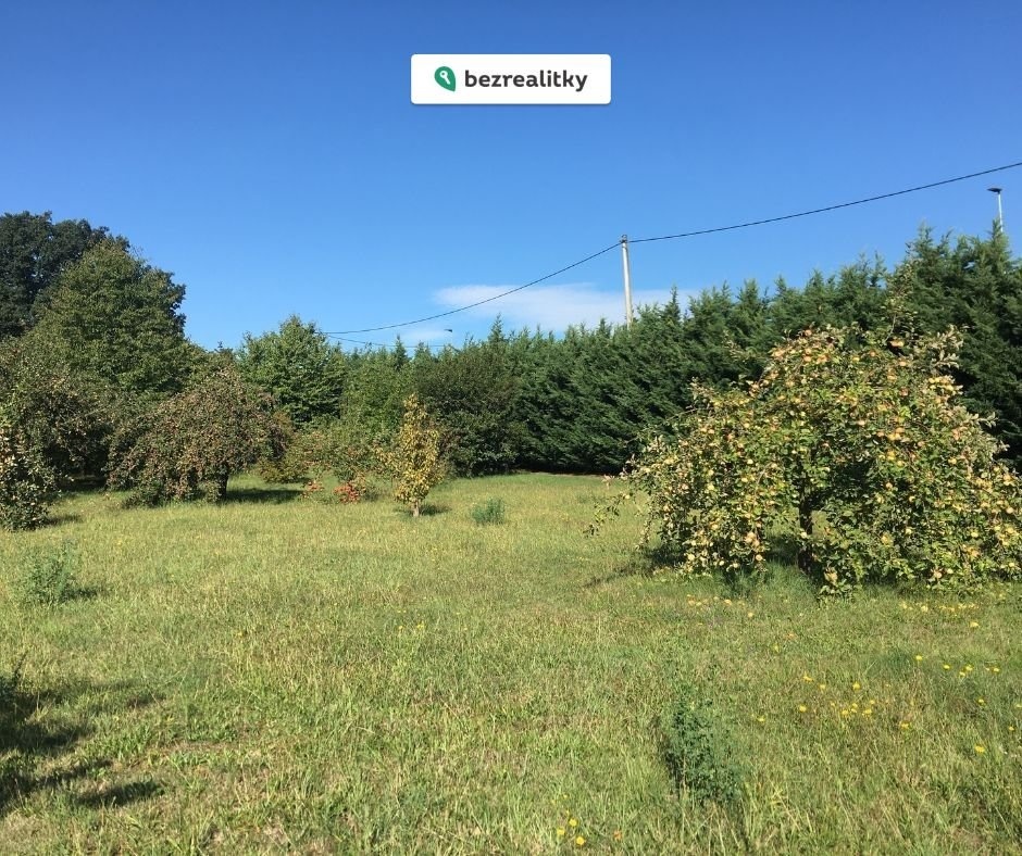 1775223441-wjyhfmqjzl-bp-post-289-29