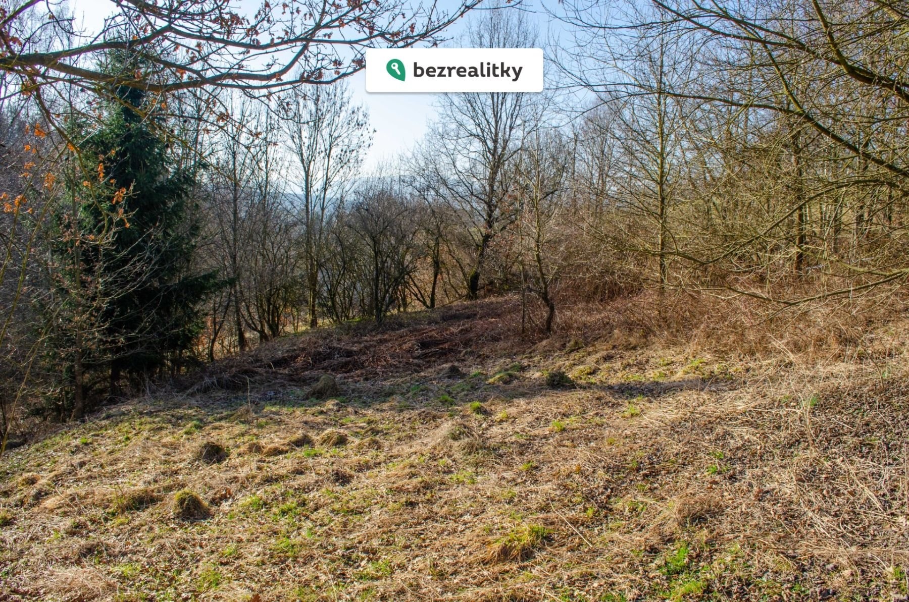 1772298329-lynuwhcsaw-r-c5-af-c5-beek-prodej-20260