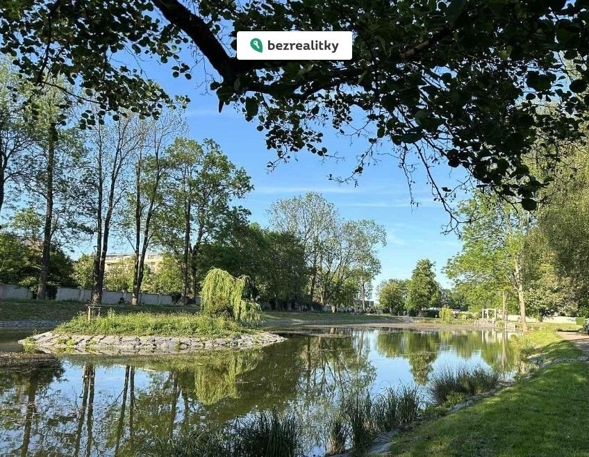 1750794088-zytofvrwza-park