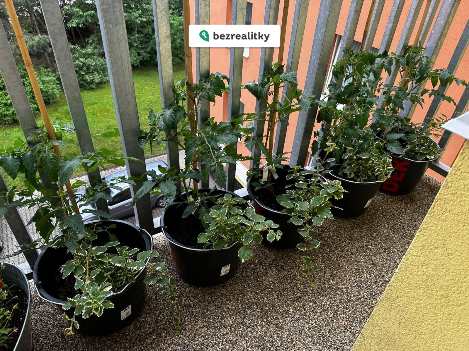 1768205993-npwkogpgda-img-3179