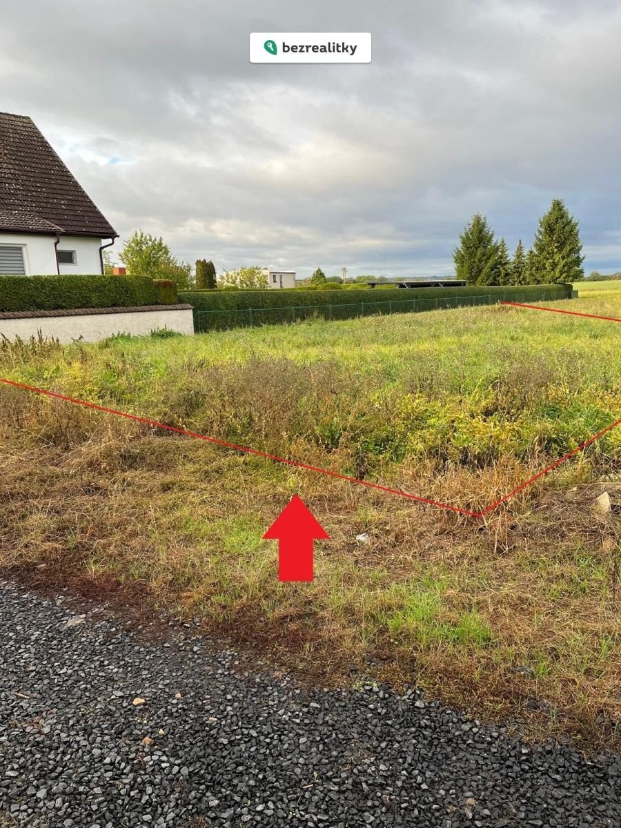 1773304538-cwqxukrwyh-foto1