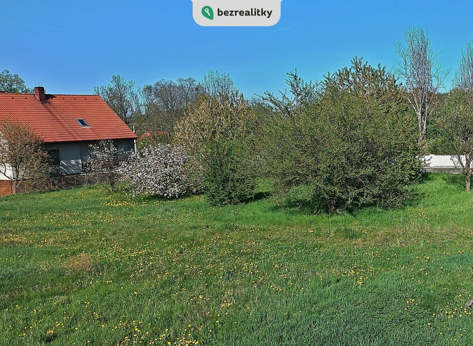 1745837023-glzzbzoutz-img-20250427-164724-847