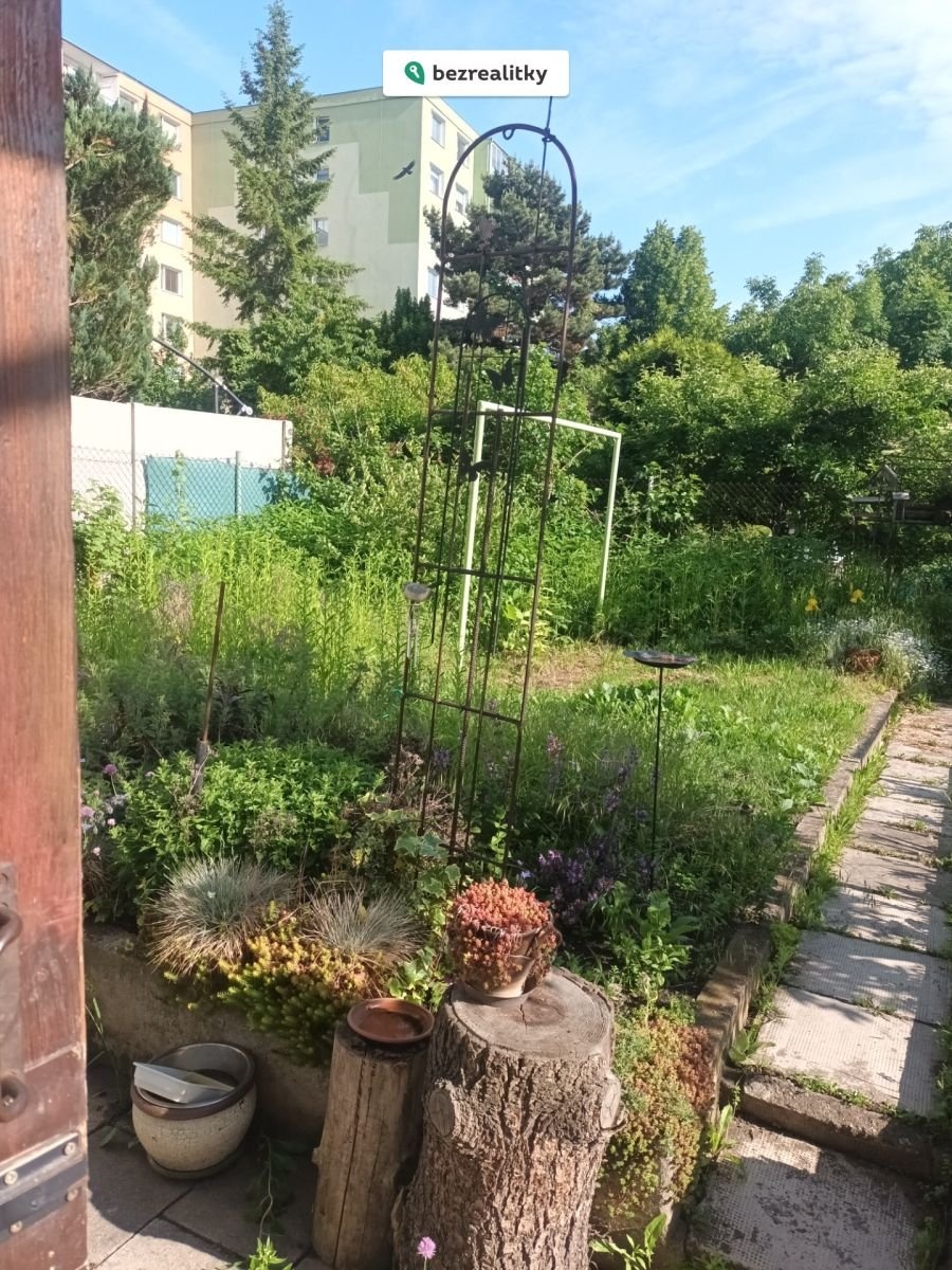 1762887830-ivivgzbqzl-zahr-c3-a1dka-2