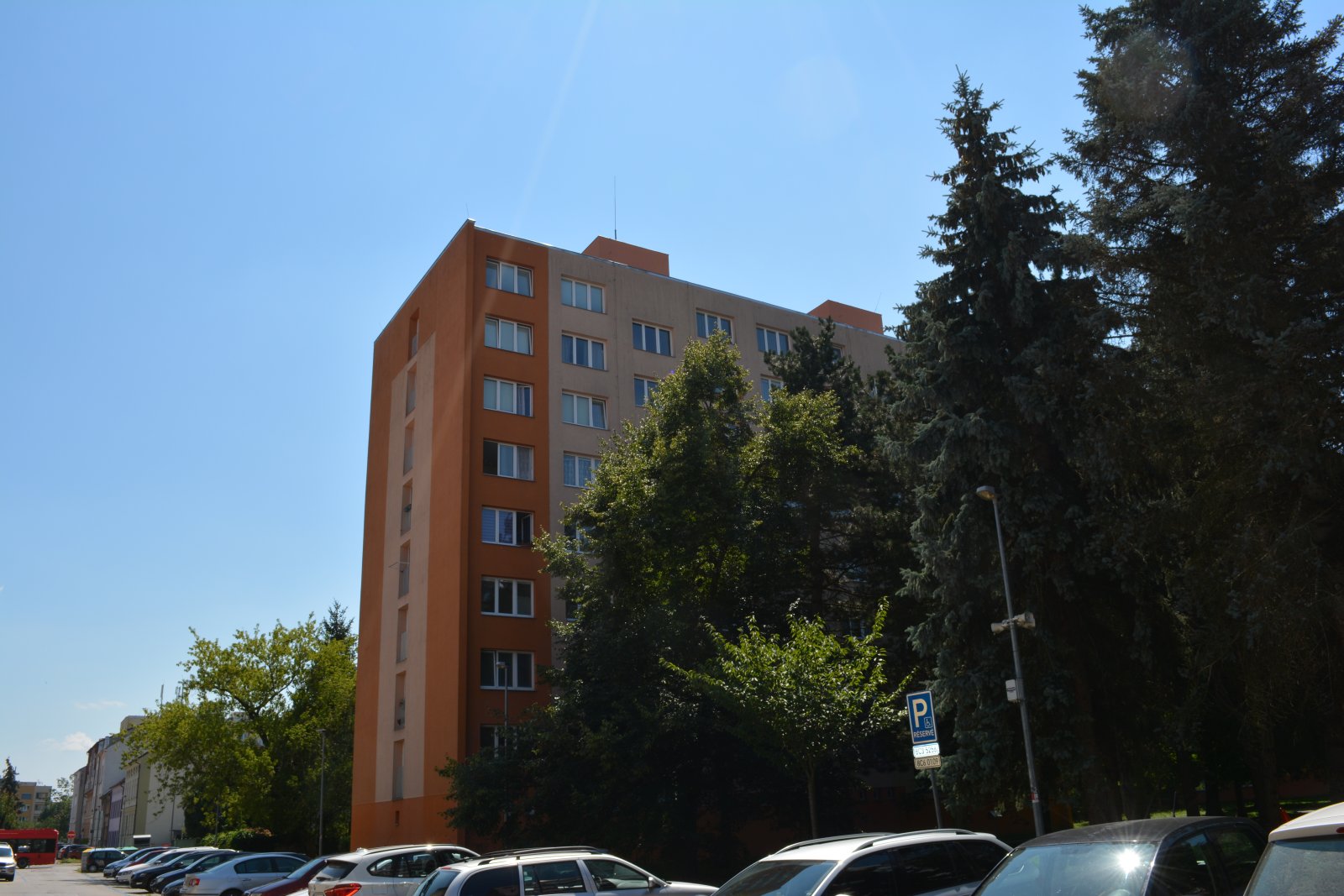 DSC_0264.JPG