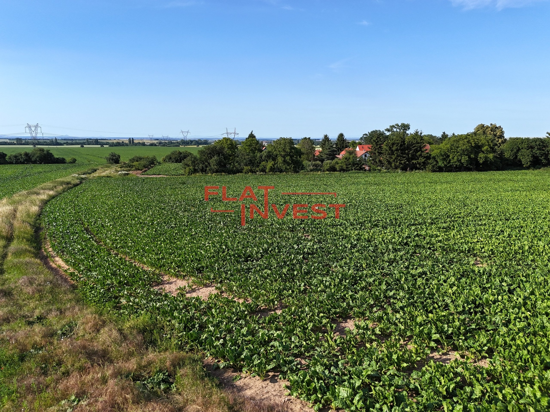 DJI_20250621180041_0099_D 2