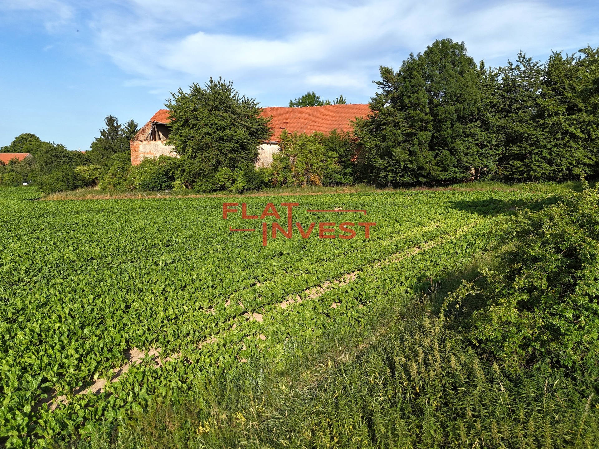 DJI_20250621180057_0100_D 2