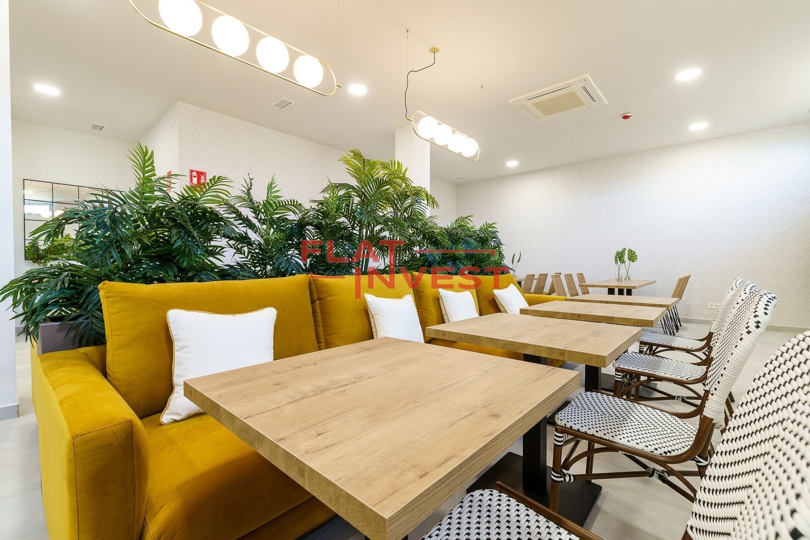 24-b59ea83f0a74727dc1499d2a7ec80eaa