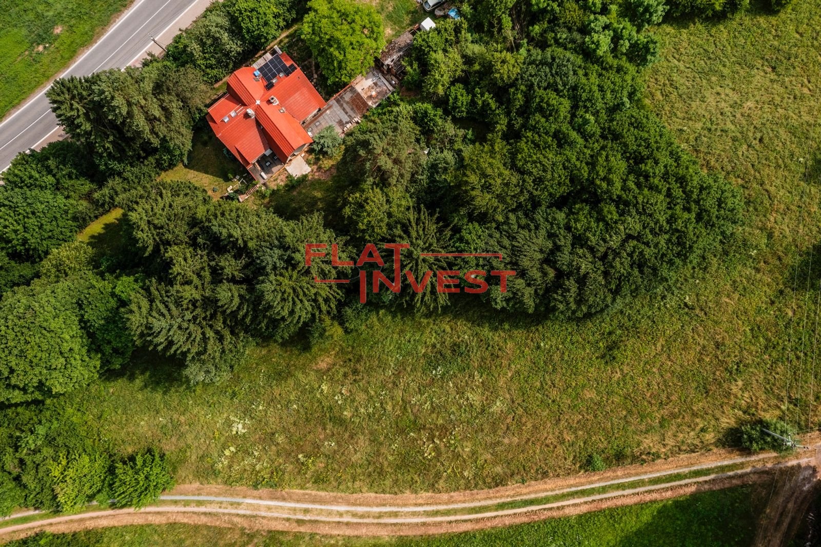 PHOTO-2025-07-31-21-17-10