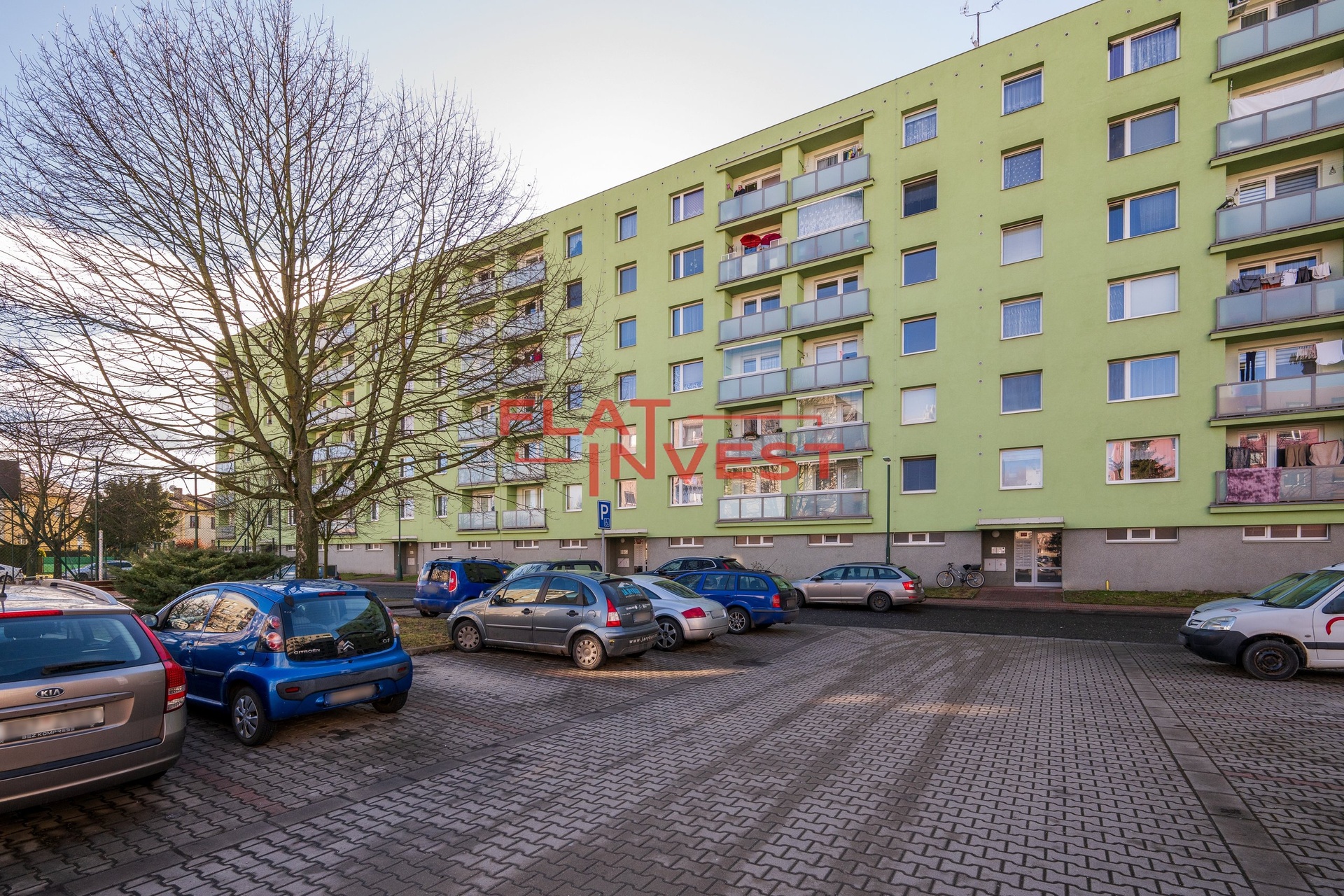 2026-02-24-13-55-25-CZ8_9473