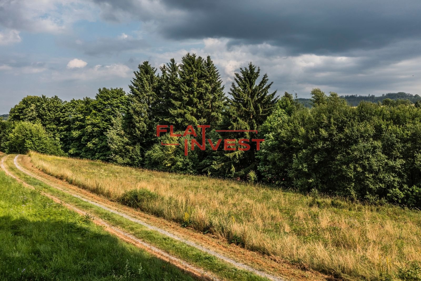 PHOTO-2025-07-31-21-17-09