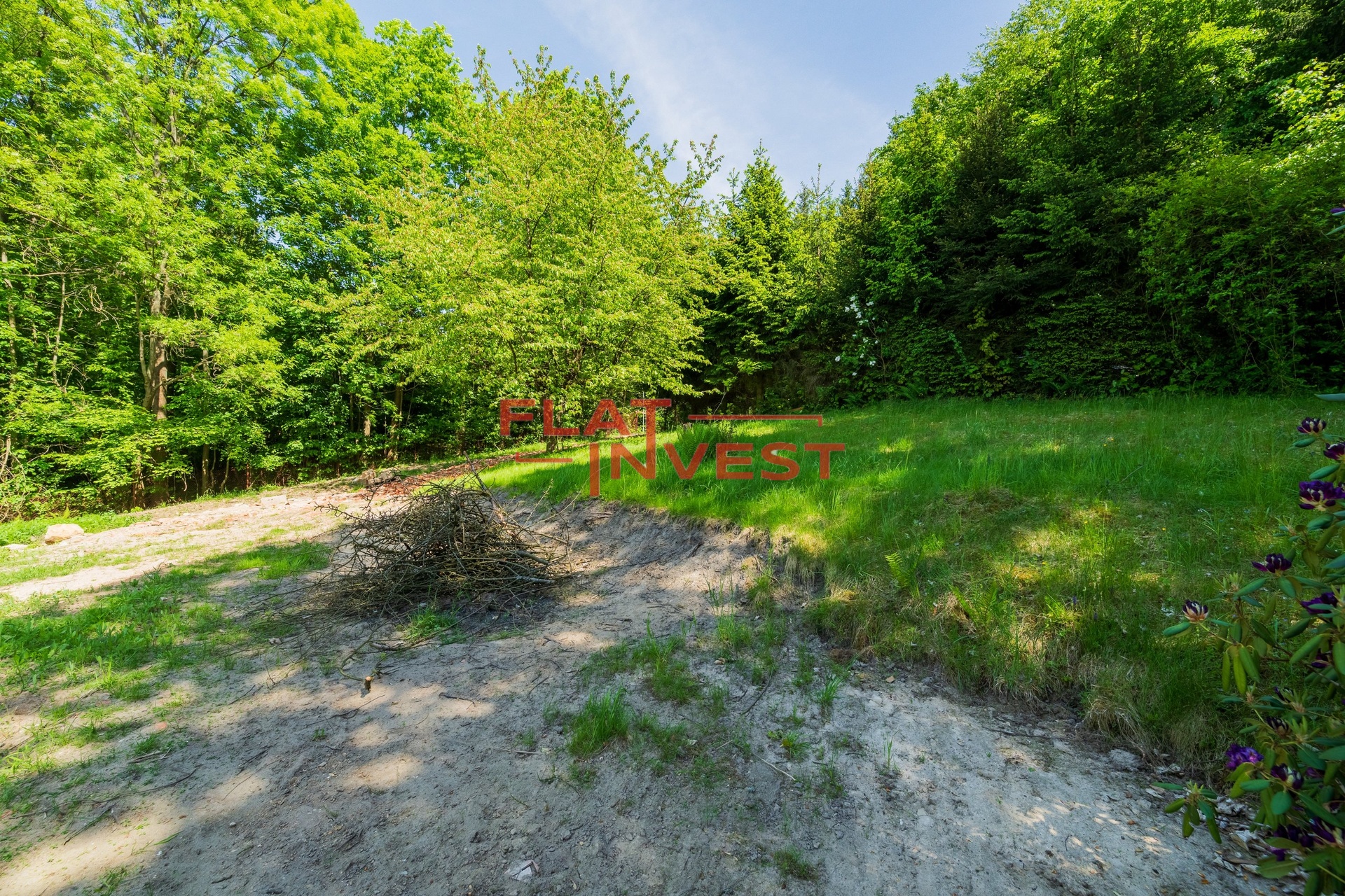 2025-05-14-15-07-16-CZ8_4459