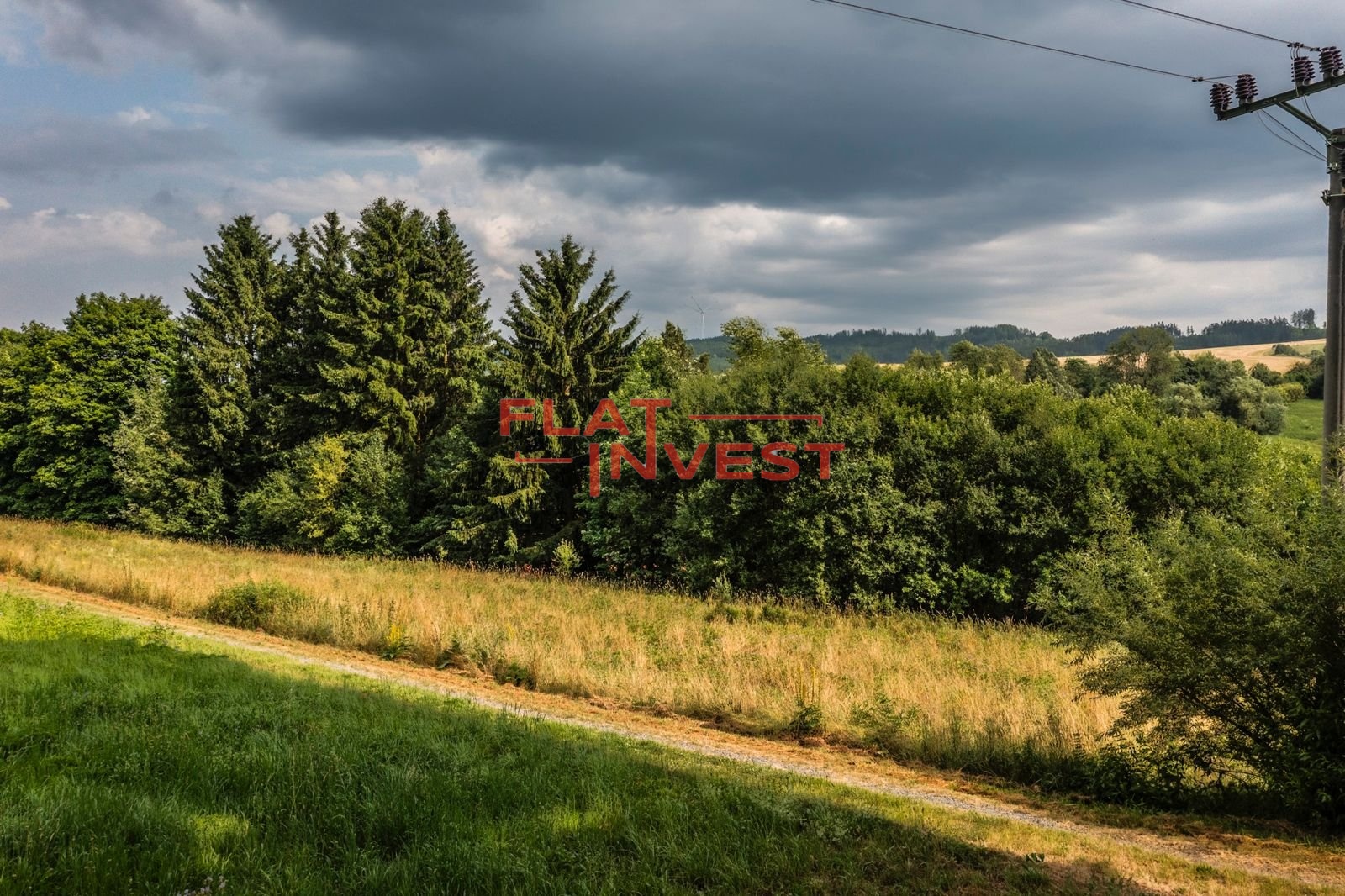 PHOTO-2025-07-31-21-17-08