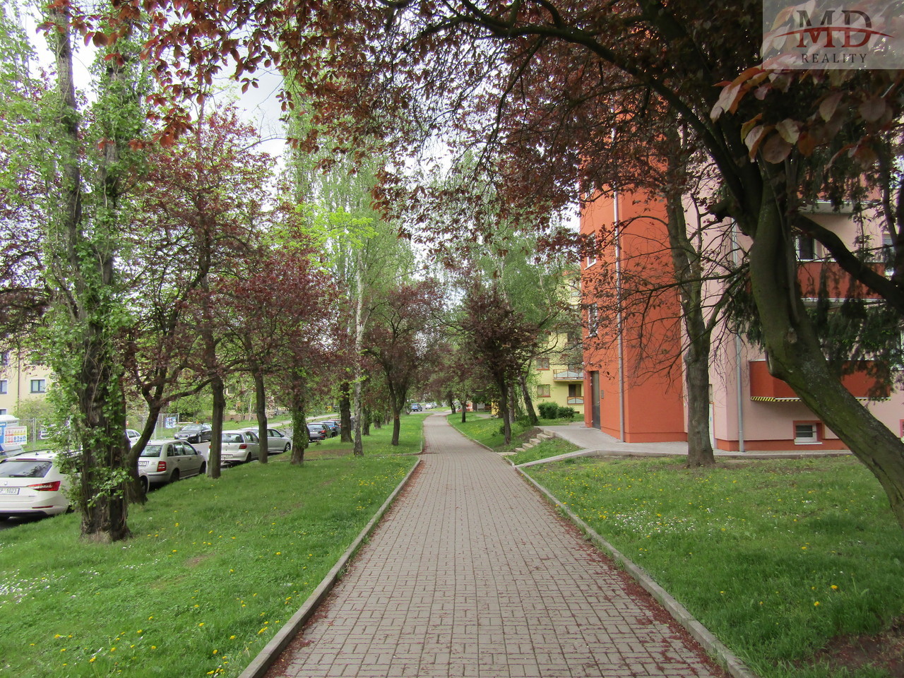 Fotka 9