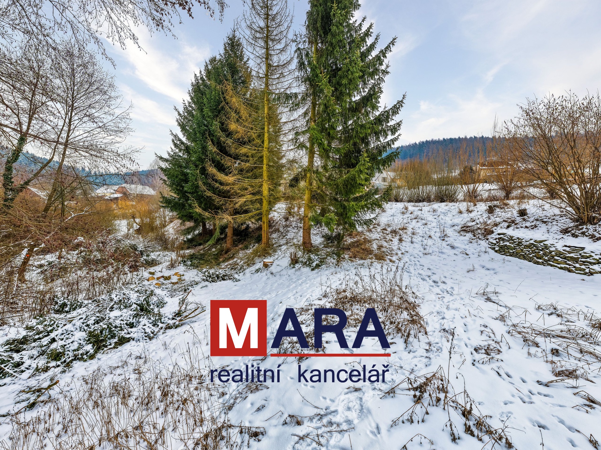 DJI_20260203134630_0094_D