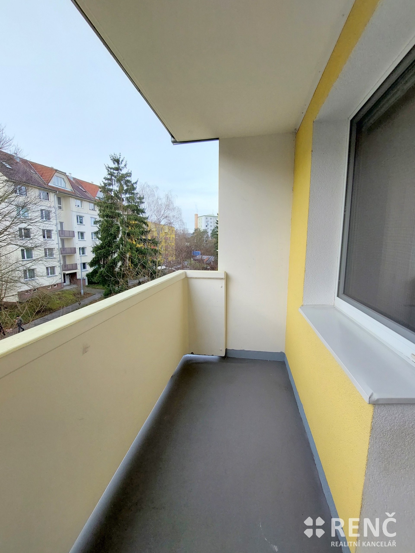 Wollmanova8-6