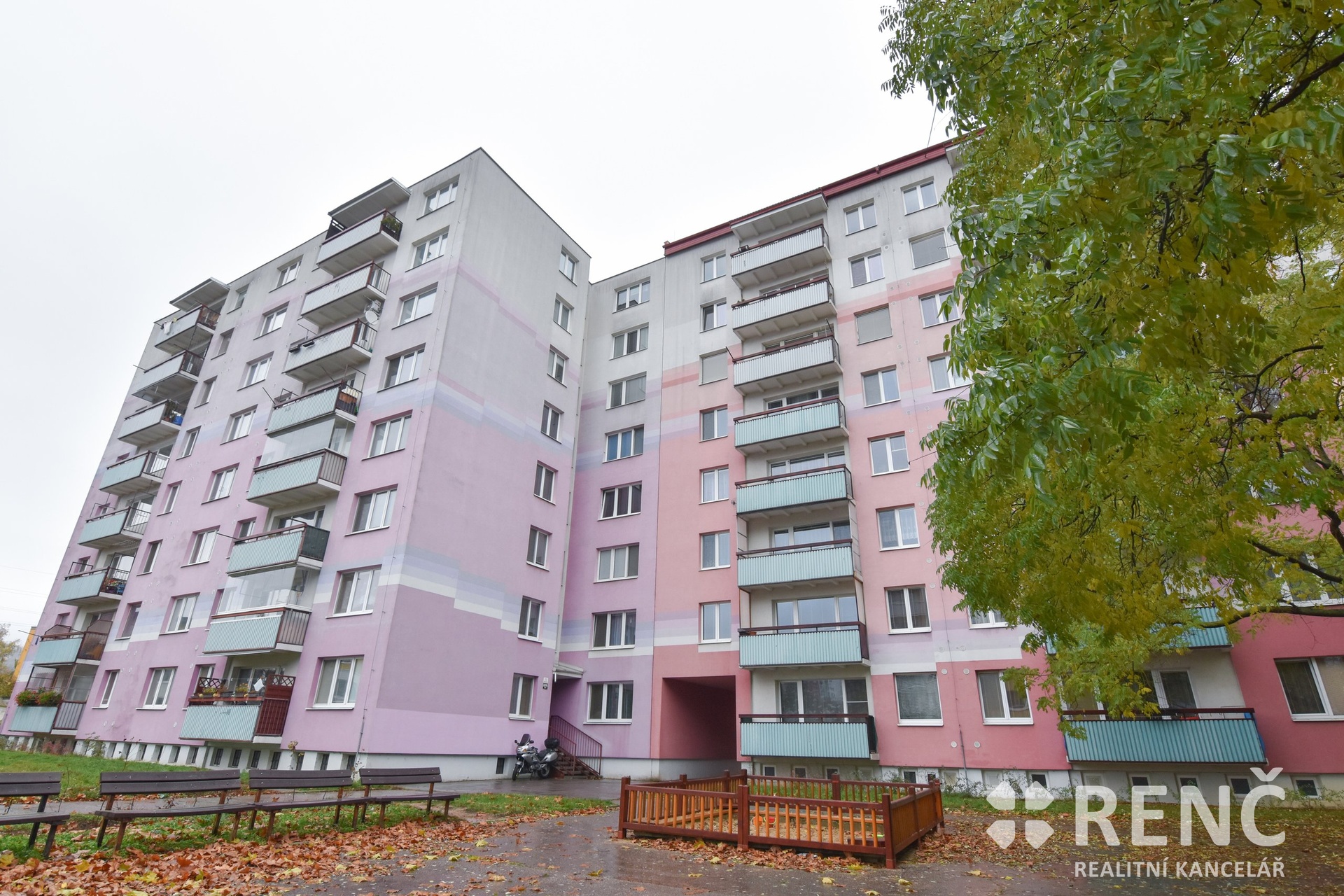 Strnadova11-13