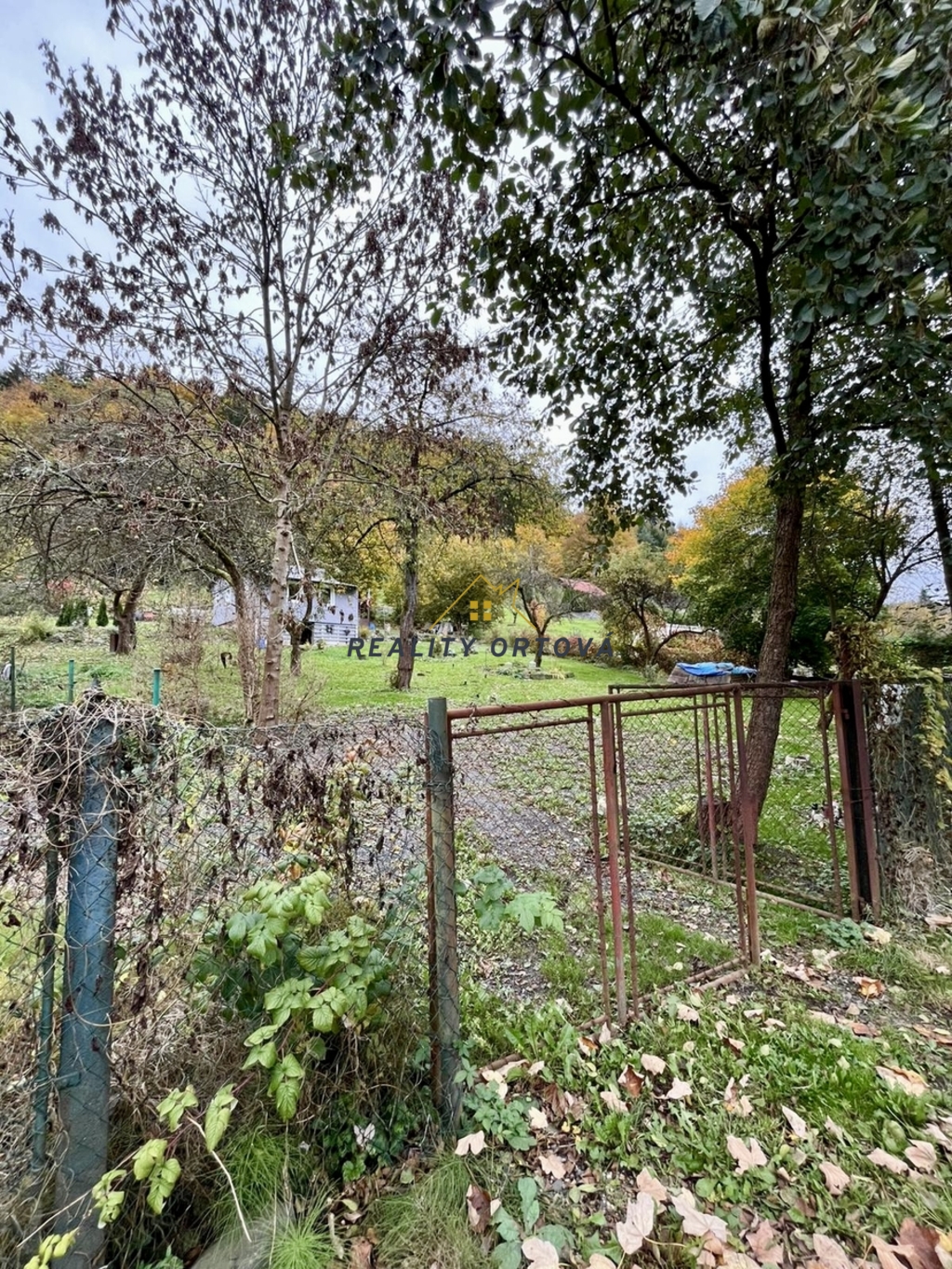 zahrada