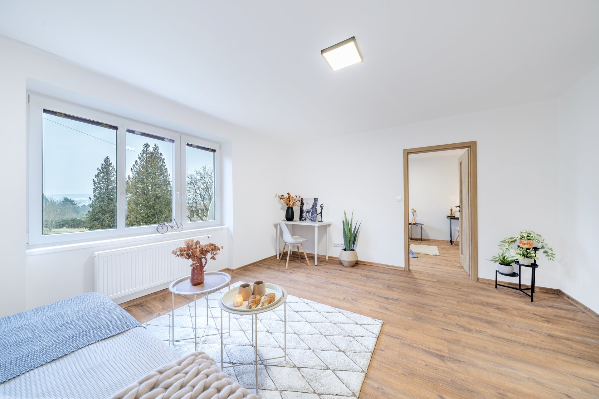 20260123-_DSC5259-HDR