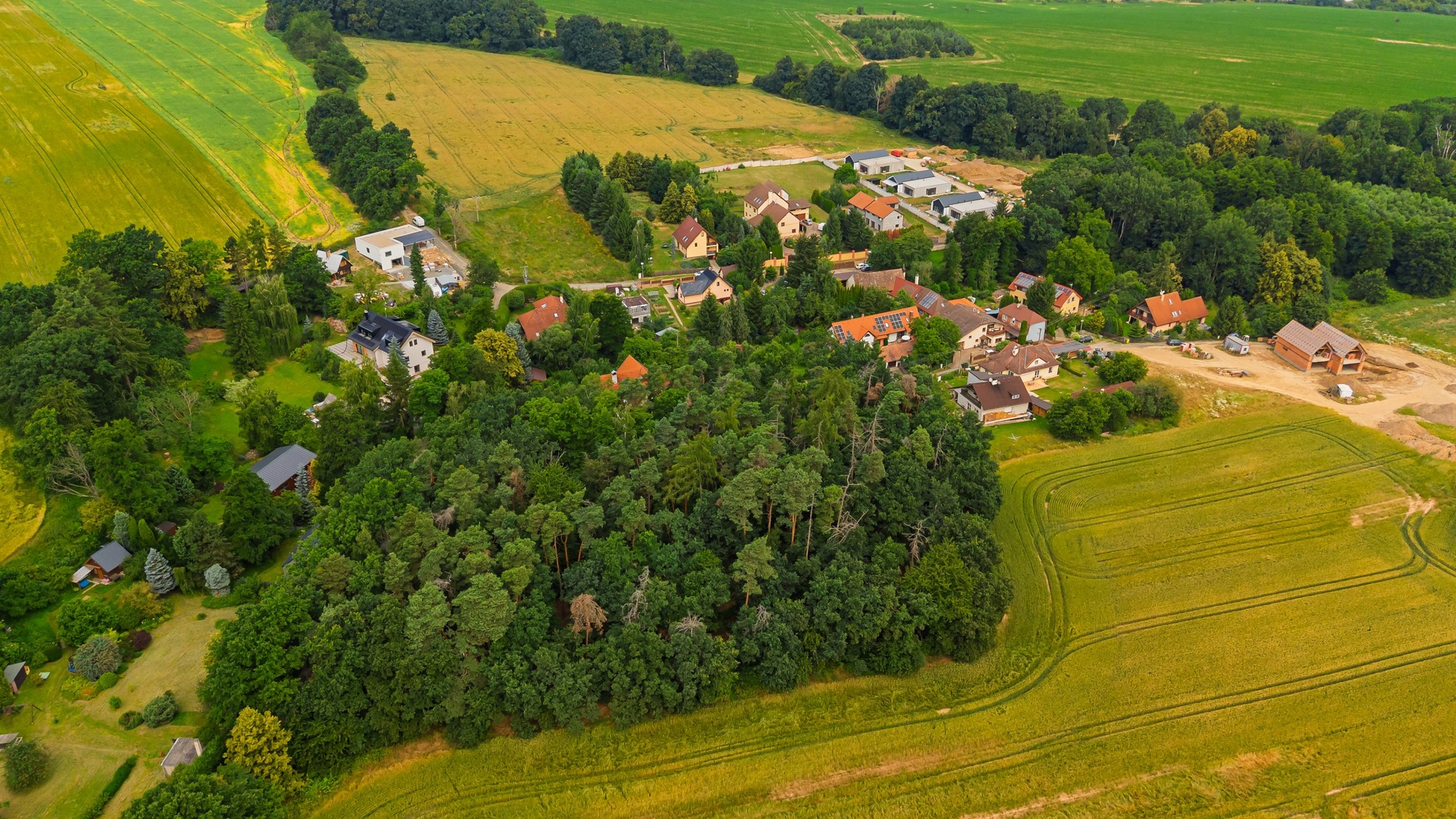 20250703-DJI_20250703101633_0076_D
