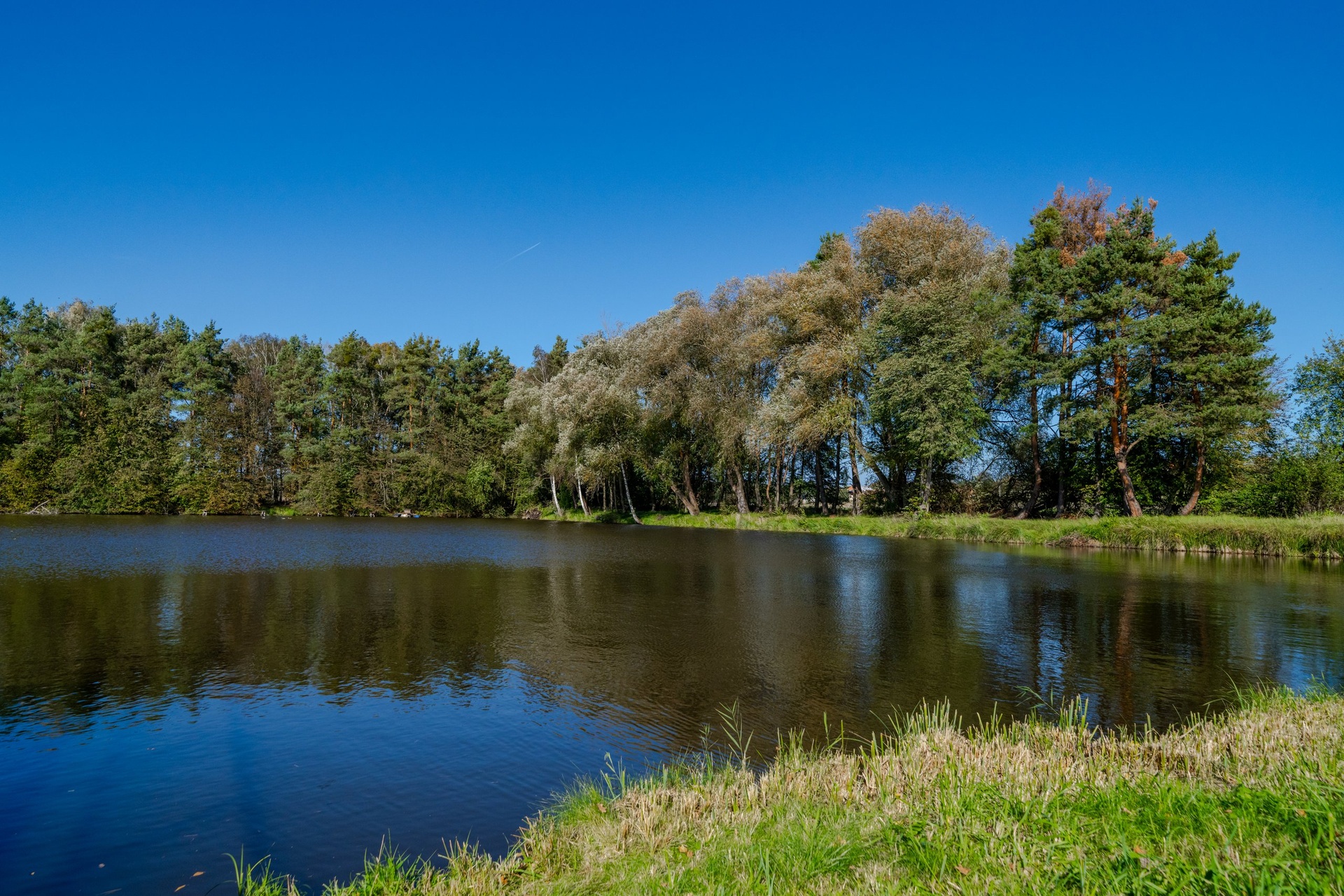 20241017-_DSC4605