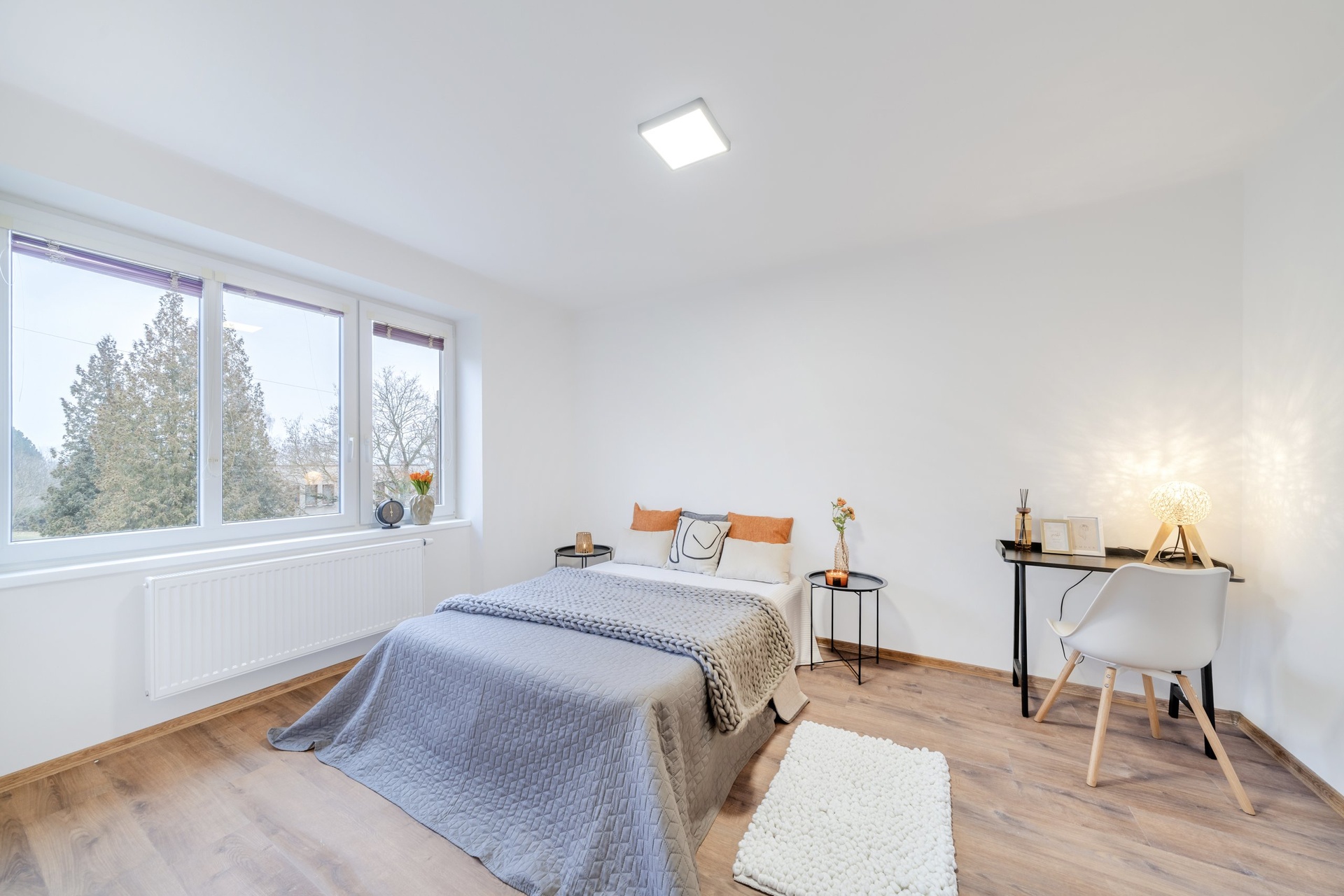 20260123-_DSC5253-HDR