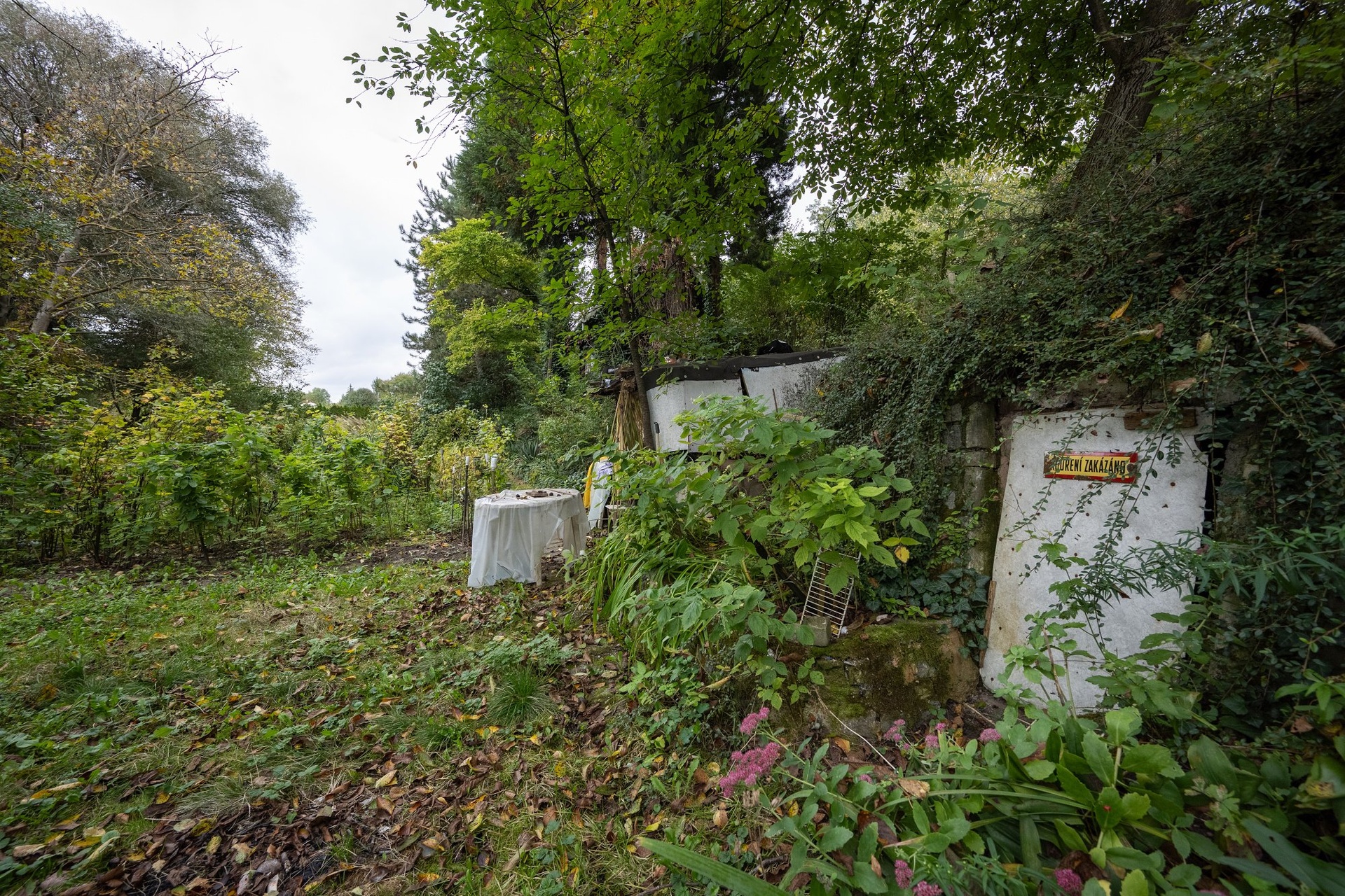 Z71_7761