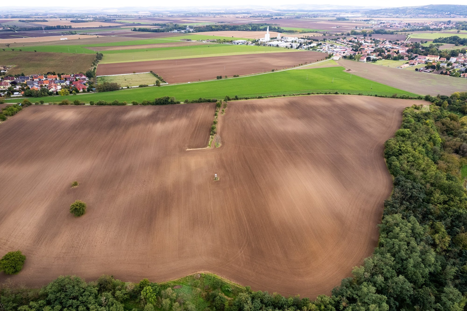 DJI_0595