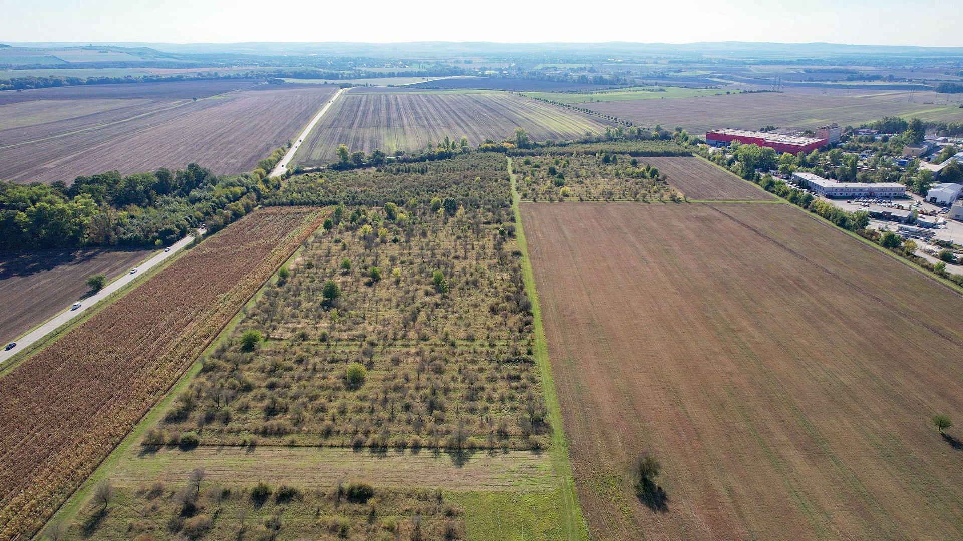 DJI_0369-1