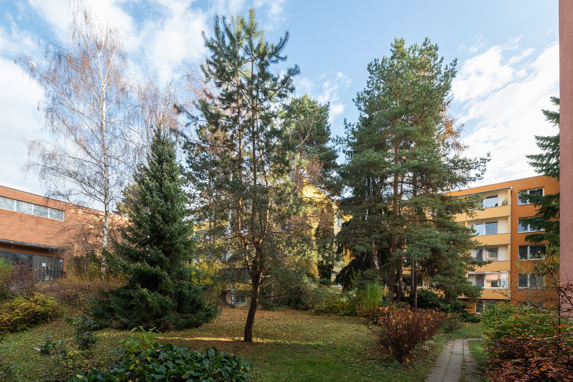 Mozolky (11)