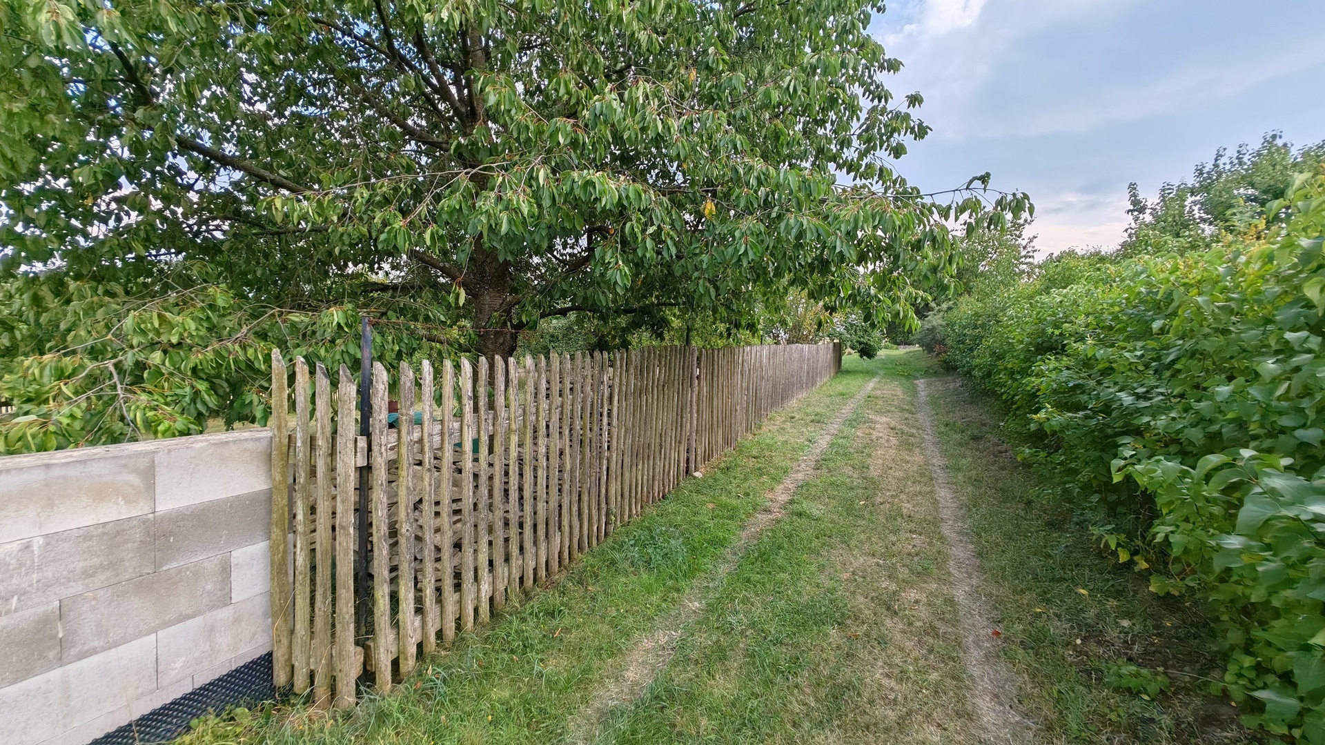 IMG_20260801_173952