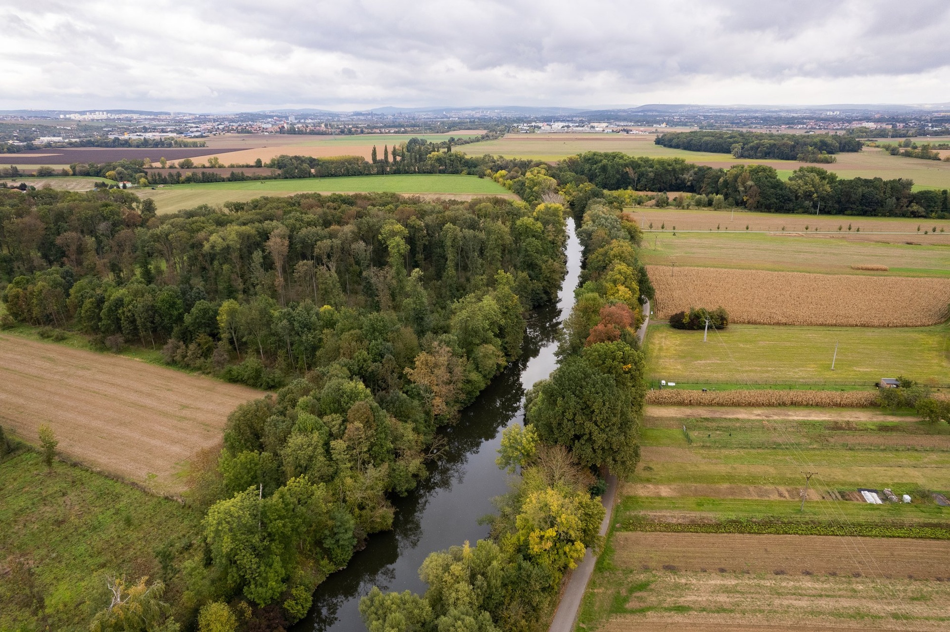 DJI_0570