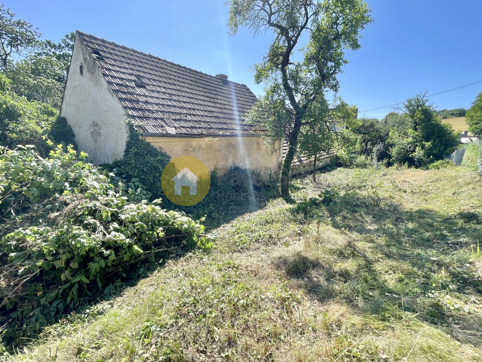 Zahrada
