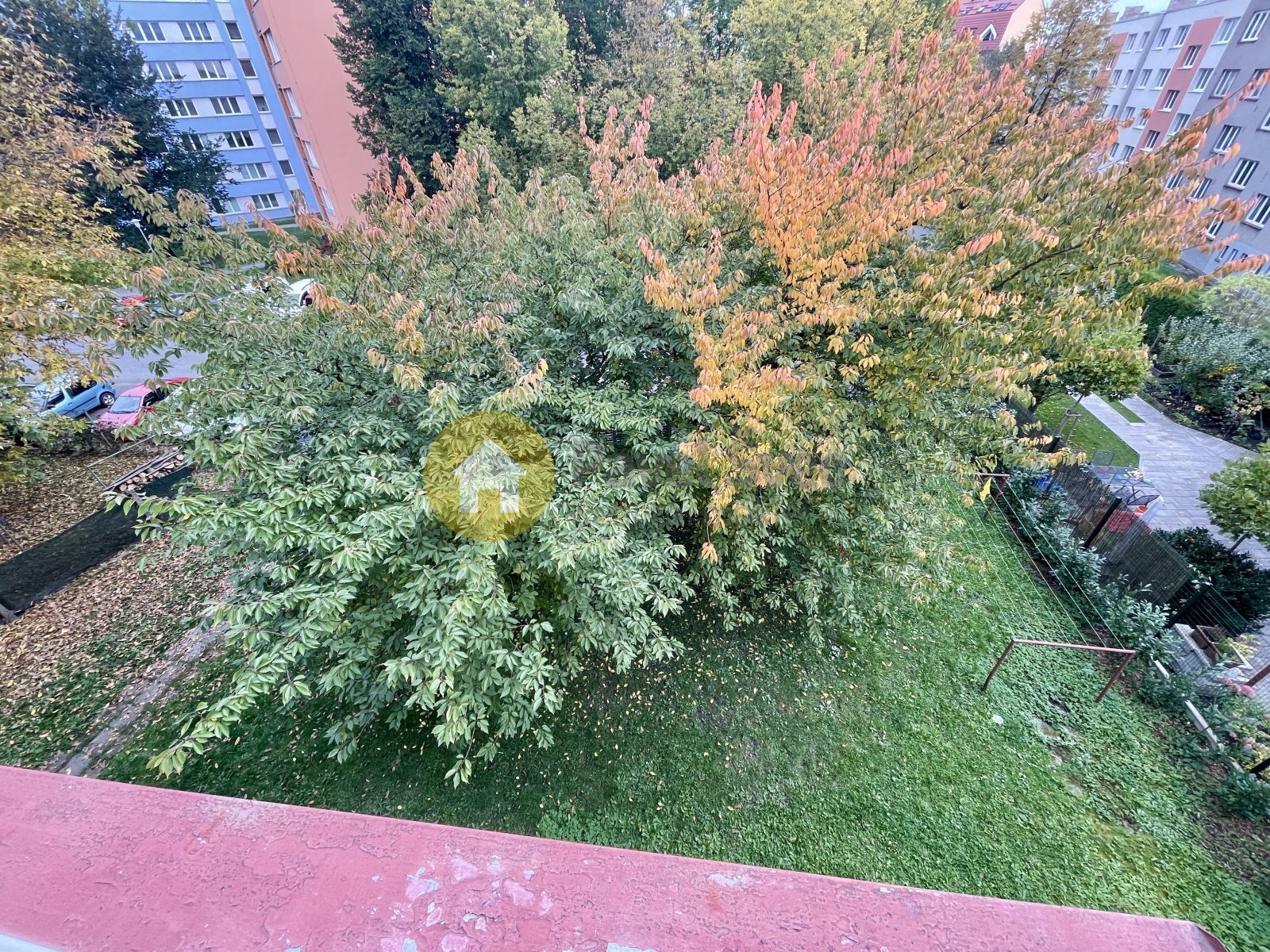 Pohled na pozemek / zahradu