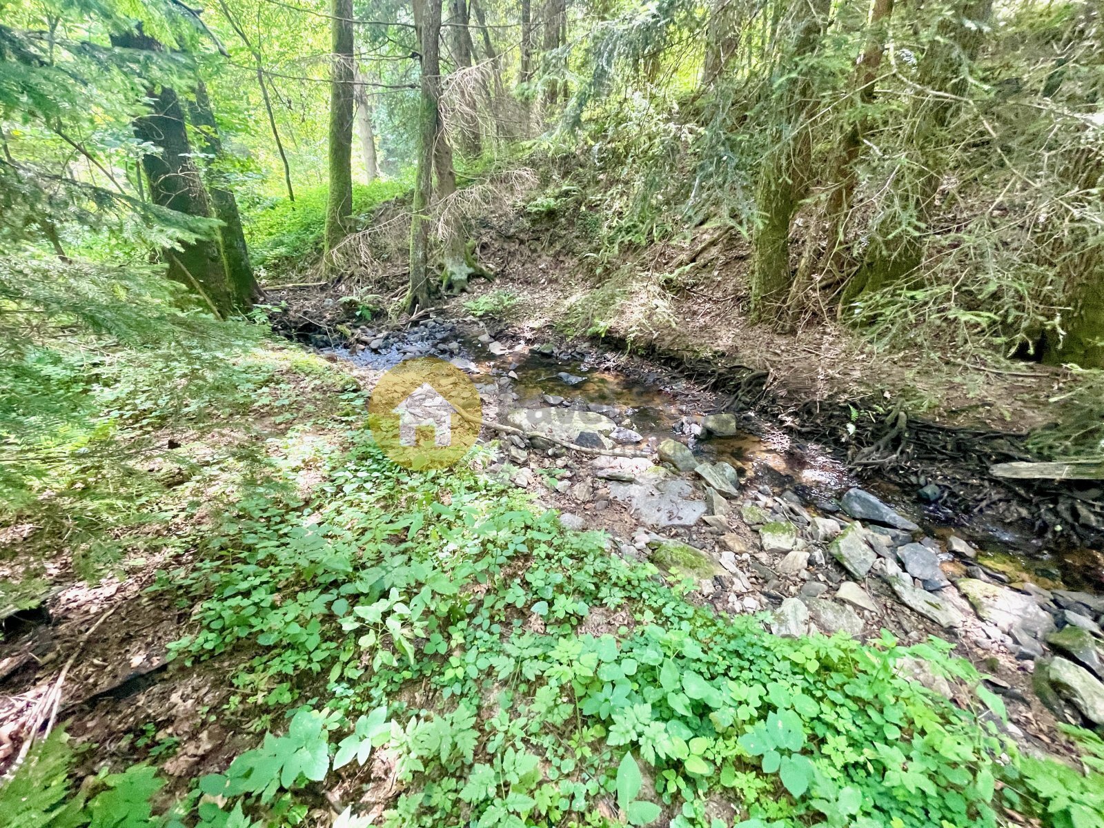 Smiradický potok v těsné blízkosti