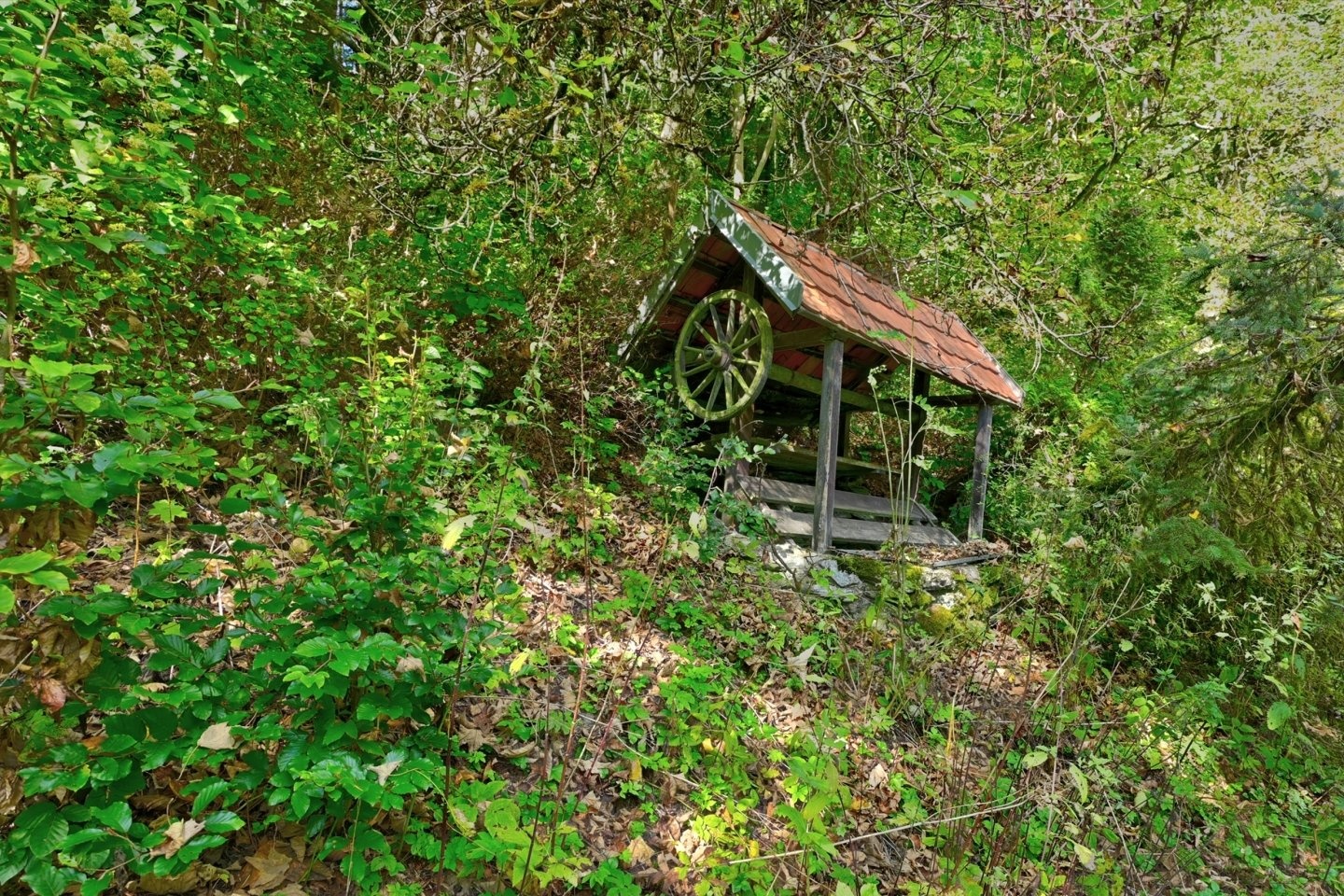 DSC_1640_1_3_4_6_tonemapped