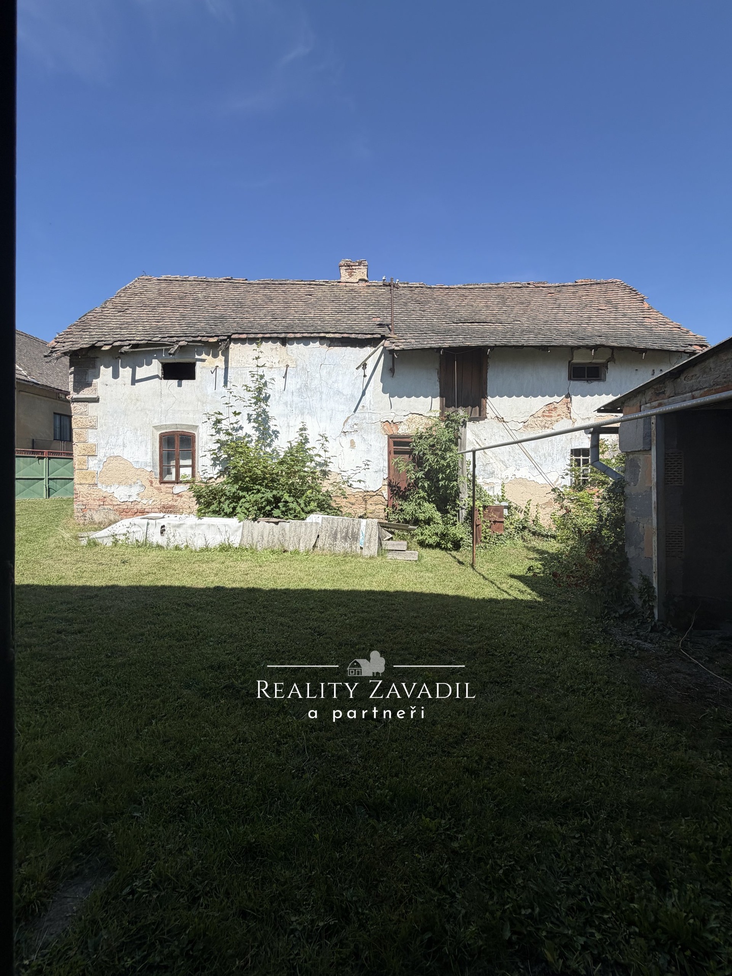 IMG_5388