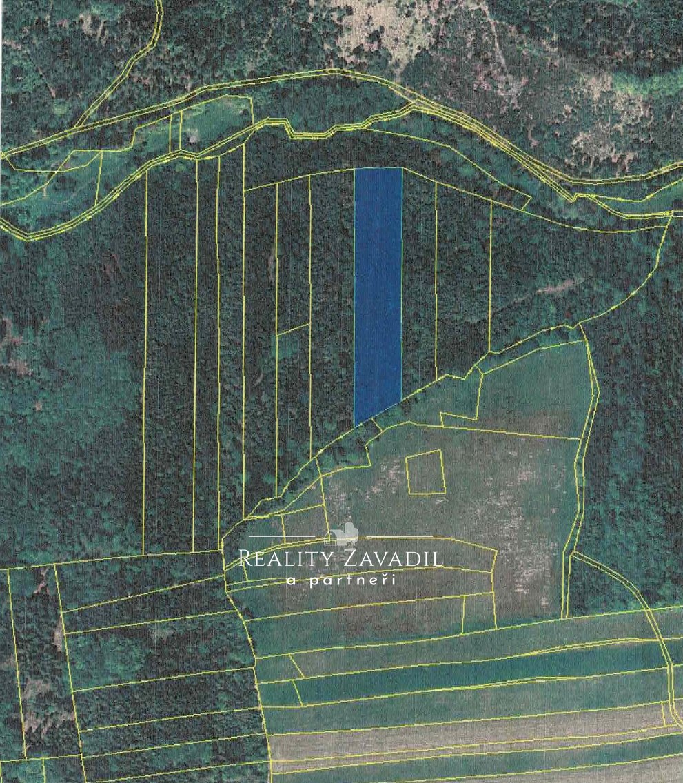 ADLc1cbBh2iR1DkJuFLCeqS6Phd8JJGFLMj4AcD9y5uIZnTwo4