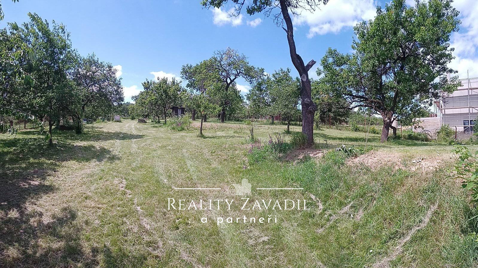 449449962_8180321435340219_5641709034508904504_n