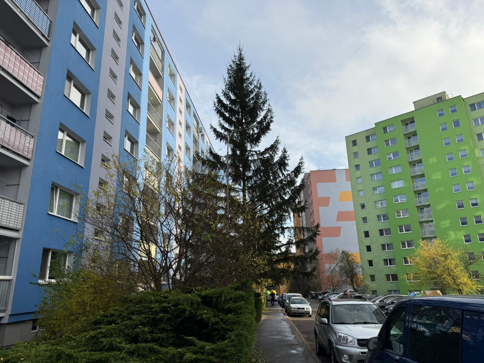 WhatsApp Image 2025-11-14 at 13.44.17 (1)