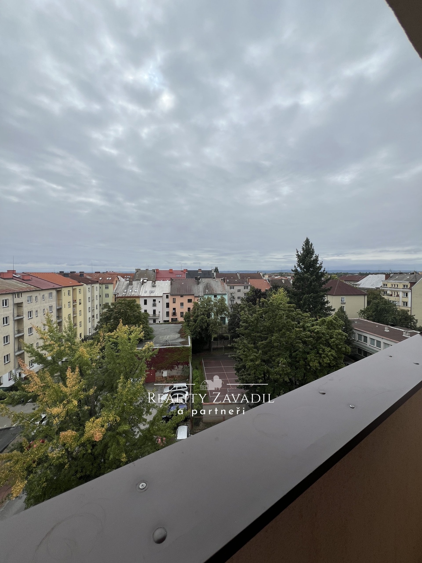 IMG_4543
