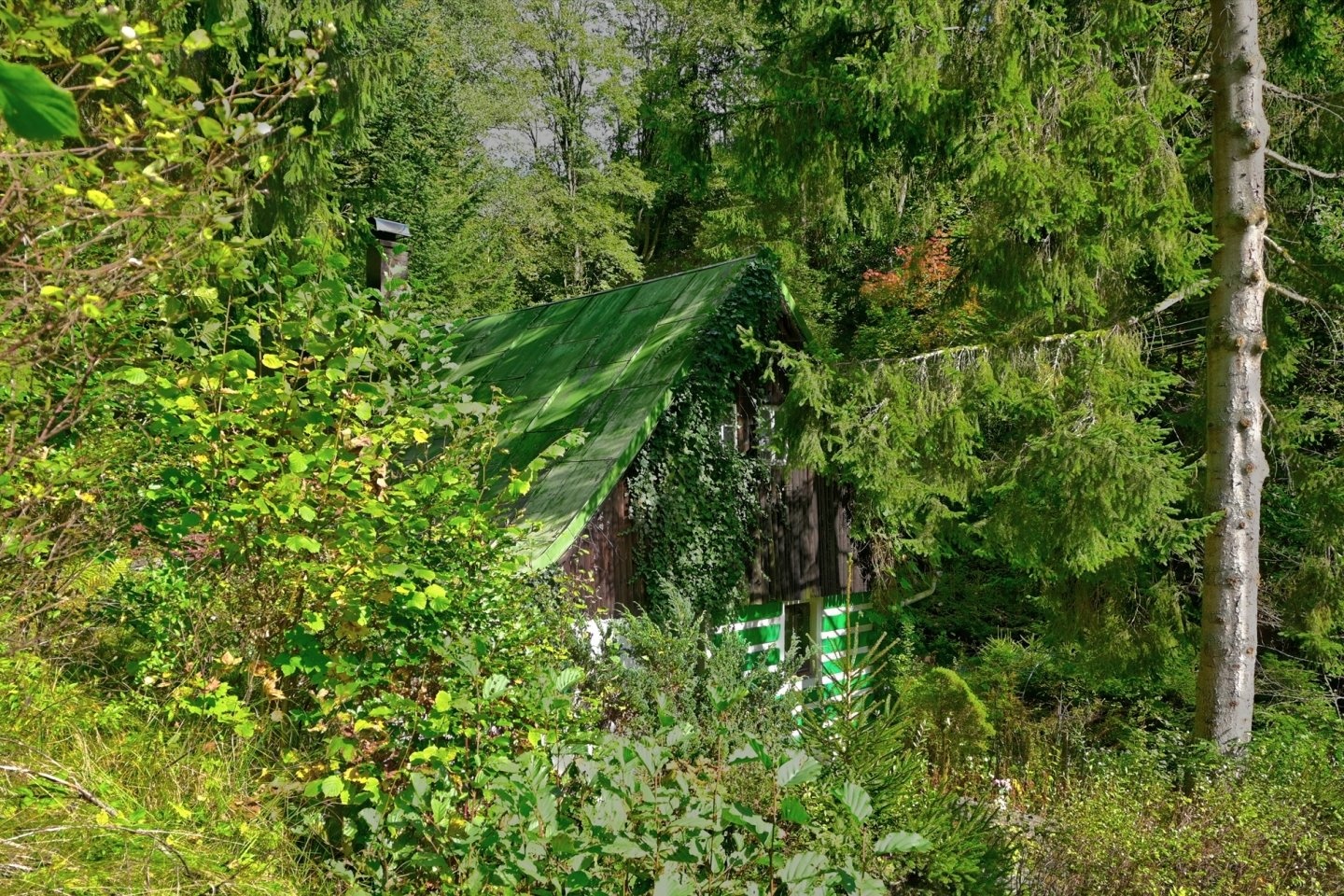 DSC_1583_4_6_7_9_tonemapped